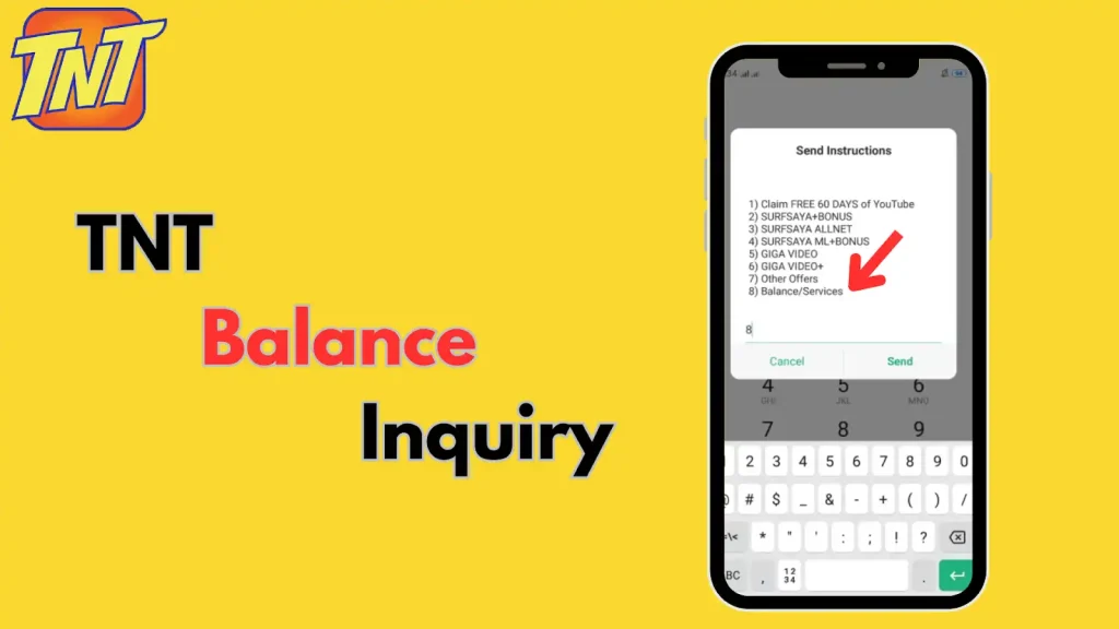 Balance Inquiry TNT